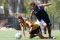 Bah�a de f�tbol